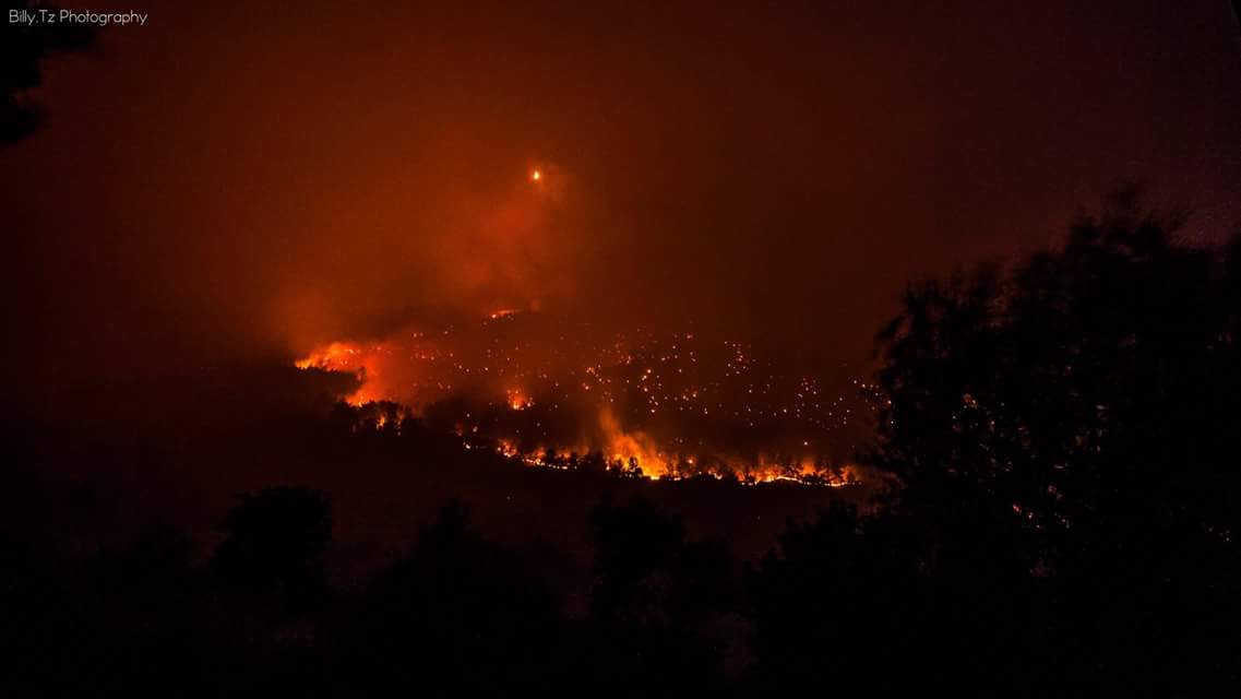 Ηλεία: Πυρκαγιά στο προστατευόμενο δάσος της Στροφυλιάς- Μαίνεται ανεξέλεγκτη.