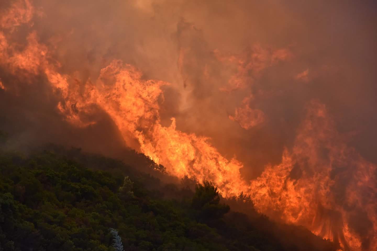 «Αξιότιμε κ. Υπουργέ, κατανοήσατε τώρα, ότι οι πυρκαγιές δεν είναι απλό φαινόμενο»;