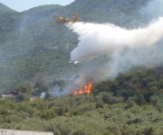 Καμένα Βούρλα, Φθιώτιδας: Δασική πυρκαγιά σε πευκοδάσος