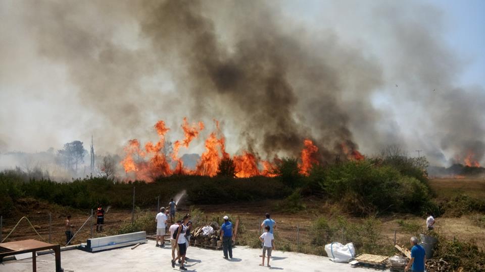 Πρέβεζα: Πυρκαγιά κατακαίει περιουσίες- Μάχες με τις φλόγες για τους Πυροσβέστες
