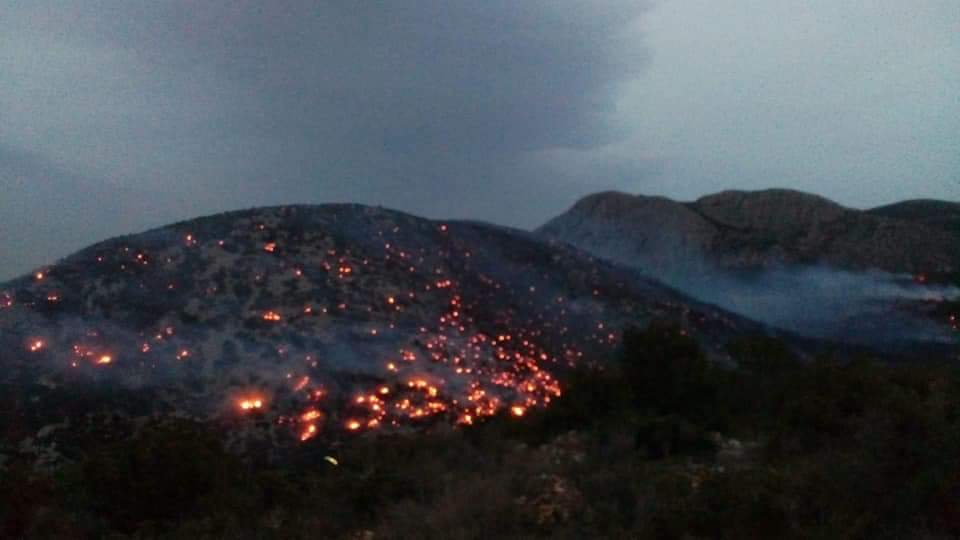 Βούτημα, Αυλώνα: Δασική πυρκαγιά- Επιχειρούν και εναέρια