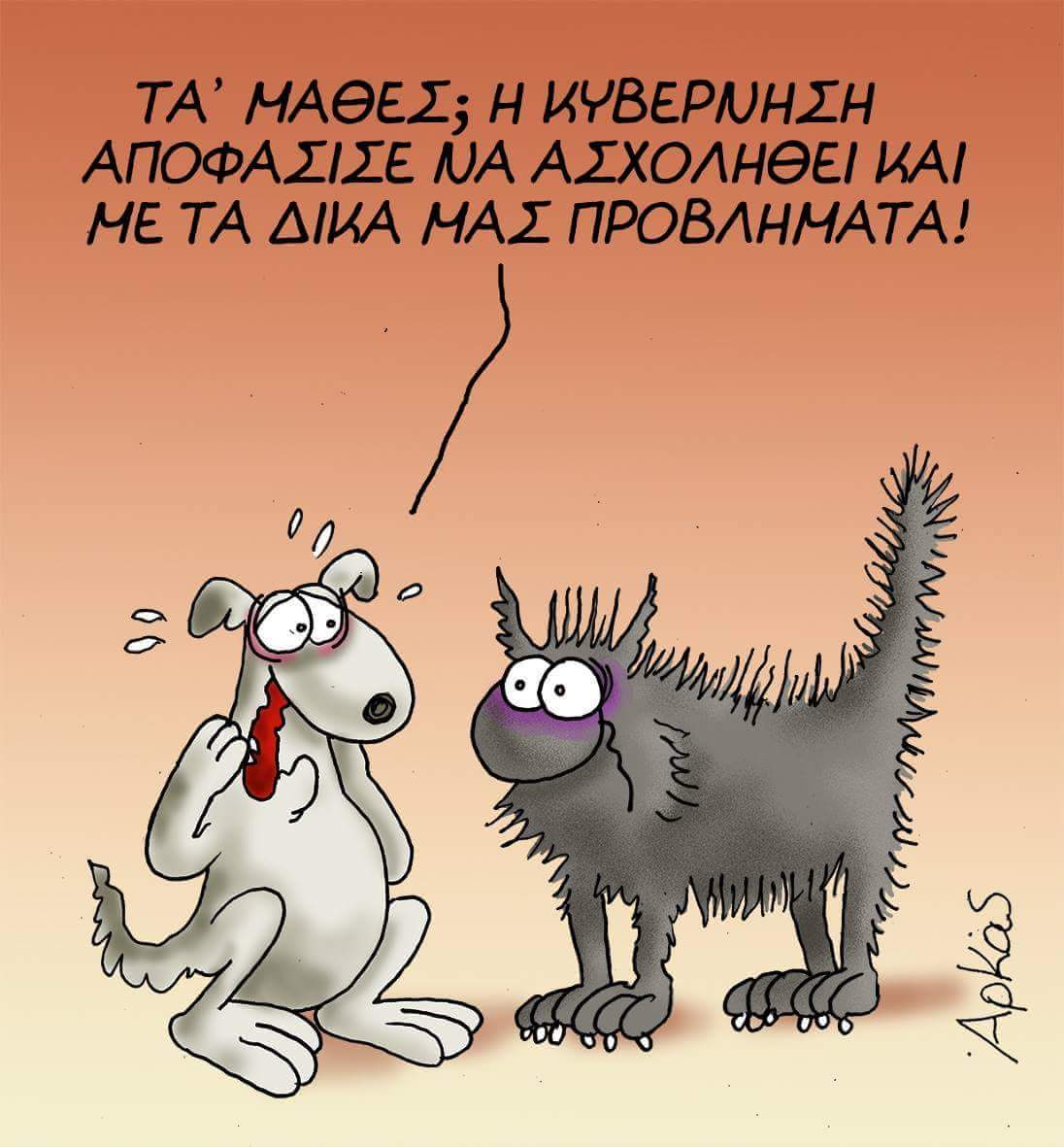 Αποσύρθηκε μετά τις αντιδράσεις το Νομοσχέδιο για τα Δεσποζόμενα και Αδέσποτα Ζώα Συντροφιάς