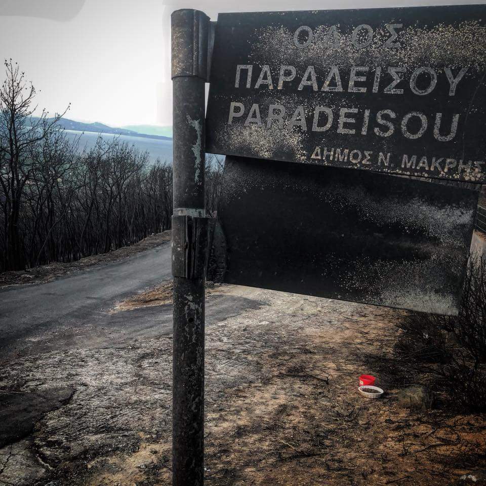 Μάτι: Έρευνα της Γενική Επιθεωρήτριας Δημόσιας Διοίκησης, για Αξιωματικούς εκτός Αττικής που υπογράφουν αυτοψίες