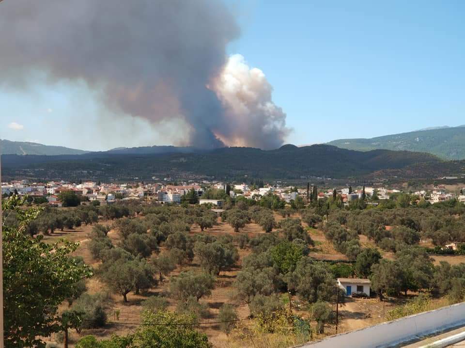 Εύβοια: Πυρκαγιά σε δασική έκταση
