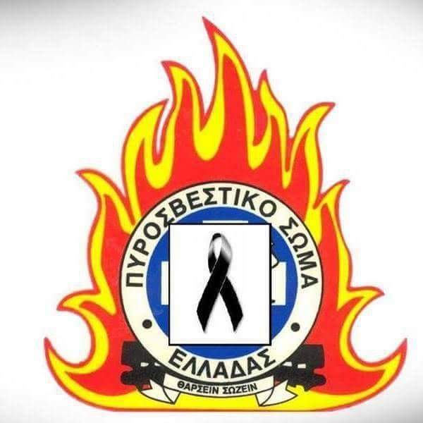 Λιμνοχώρι Σερρών: Νεκρός Πυροσβέστης εν ώρα υπηρεσίας- Καλώδιο της ΔΕΗ ξηλώθηκε από τον αέρα
