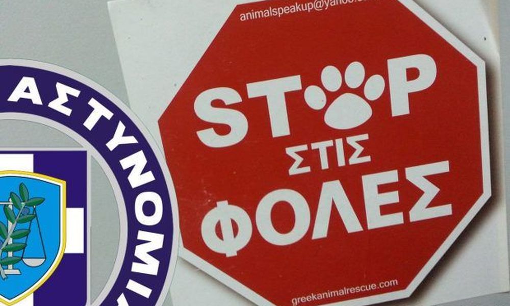 Ρέθυμνο: Σκότωνε γάτες και δημοσίευε συνταγή για φόλες στα κοινωνικά δίκτυα