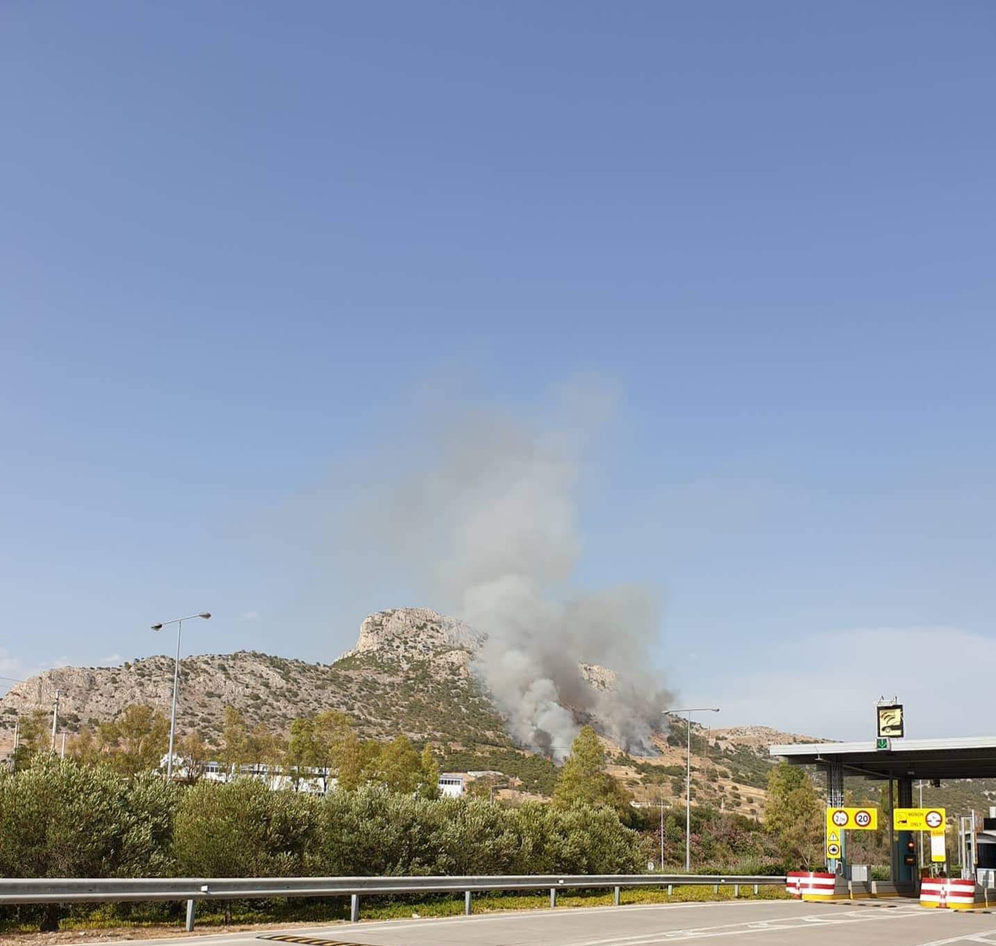 Φυλή, Αττικής: Δασική πυρκαγιά σε εξέλιξη