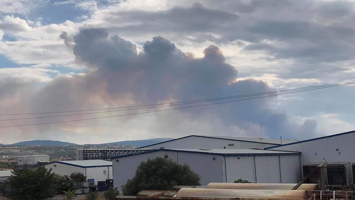 Τανάγρα: Σε εξέλιξη δασική πυρκαγιά