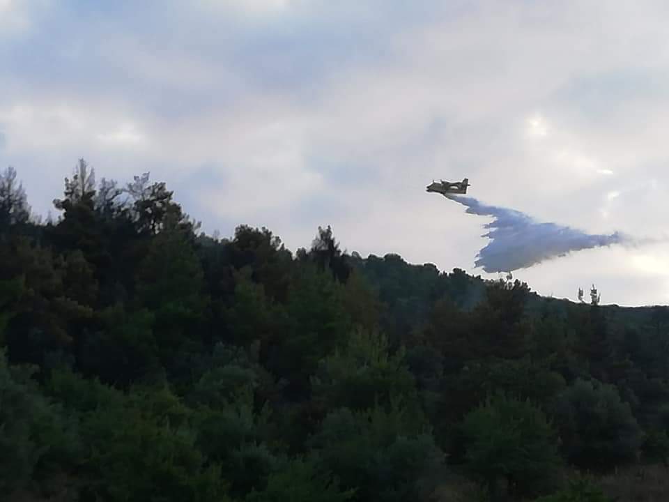 Χαλκίδα: Ελεύθερος ο κατηγορούμενος, με τους 9 εμπρησμούς
