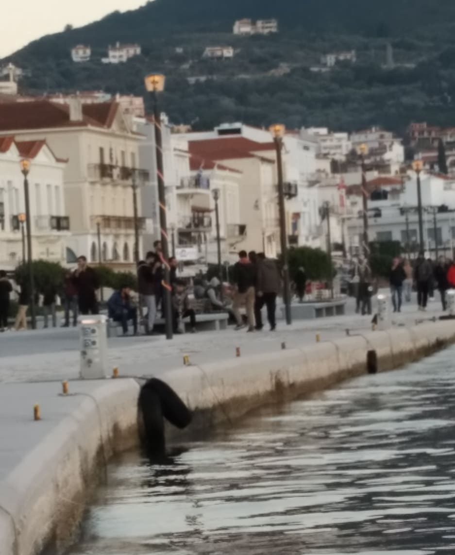 Σάμος: Λαθρομετανάστες επιτέθηκαν στο Δήμαρχο Γιώργο Στάντζο