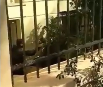 Στις Εισαγγελικές Αρχές η Πρυτανεία της ΑΣΟΕΕ για τον Ειδικό Φρουρό με το όπλο