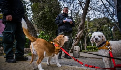 Κατ’ εξαίρεση μετακινήσεις.. ζωόφιλων σιτιστών- Το έντυπο που συμπληρώνετε