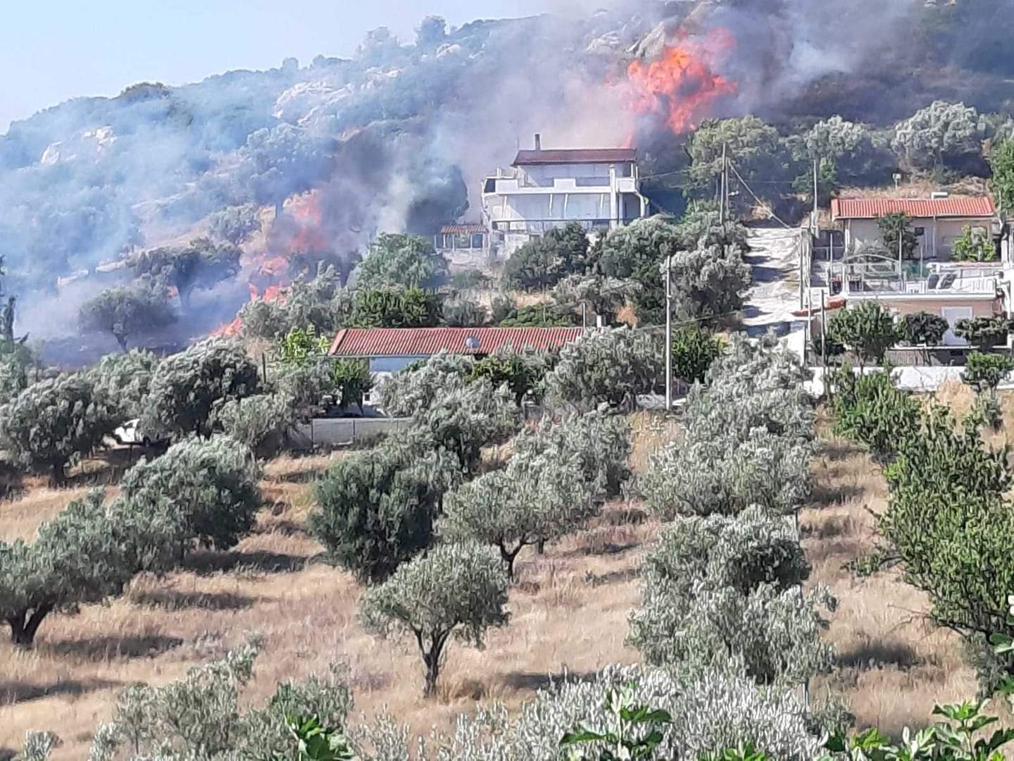 Φοίνινας, Αρτέμιδα: Δασική πυρκαγιά- Στο έργο κατάσβεσης της φωτιάς επιχειρεί η Πυροσβεστική