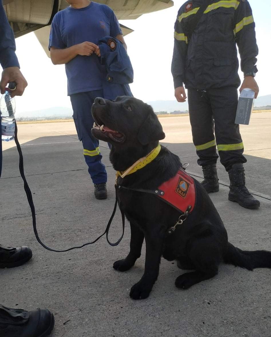 Συνδρομή της Ελλάδας στον Λίβανο με ομάδα έρευνας και διάσωσης από την ΕΜΑΚ
