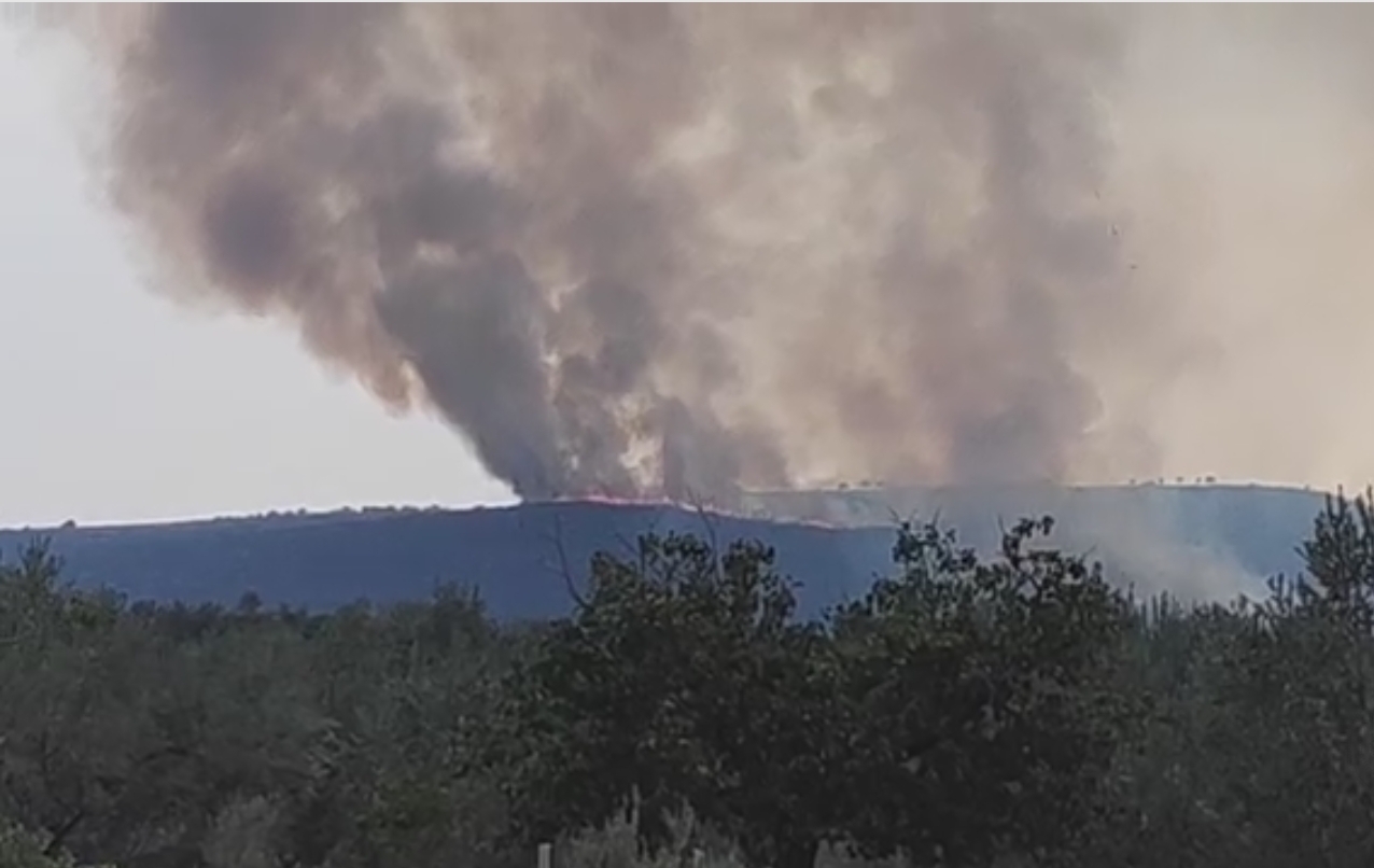 Αργολίδα: Κεραυνός προκάλεσε φωτιά σε δασική έκταση