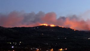 Πυρκαγιά που μαίνεται για δεύτερη ημέρα σε πευκόφυτη έκταση στην περιοχή μεταξύ Φλόκας και Ζερβού, κοντά στους Μυτιληνιούς στην περιοχή της παλιάς χωματερής, στη Σάμο, Σάββατο 9 Ιουλίου 2016. Οι πυροσβεστικές δυνάμεις που επιχειρούν στην περιοχή έχουν ενισχυθεί και τη μάχη με τις φλόγες δίνουν πλέον 90 πυροσβέστες με 33 οχήματα, 50 εθελοντές, 20 υδροφόρα οχήματα, πεζοπόρο τμήμα 90 ατόμων, 7 ελικόπτερα και 6 αεροσκάφη. Επίσης, αναμένεται να φτάσουν στη Σάμο από την Αθήνα άλλοι 60 πυροσβέστες με 15 οχήματα. ΑΠΕ ΜΠΕ/ΑΠΕ ΜΠΕ/Αντώνης Ιατρού