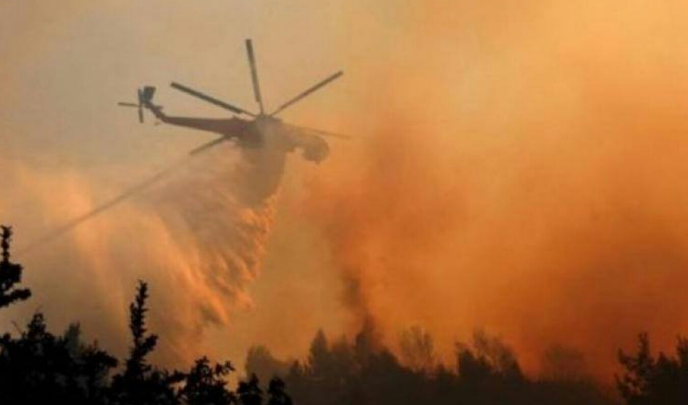 Αγ.Θεοδωροι, Κορινθίας: Δασική πυρκαγιά σε έκταση μέσα σε οικισμό