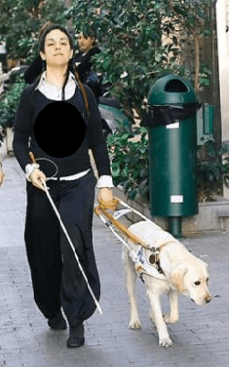 «Ιδιοκτήτης κινηματογράφου στο Χαλάνδρι δεν επιτρέπει την είσοδο σε σκύλο- οδηγό «Ο κινηματογράφος δεν προσφέρει υπηρεσίες σε τυφλούς, αφού.. δε μπορούν να δουν ταινία»