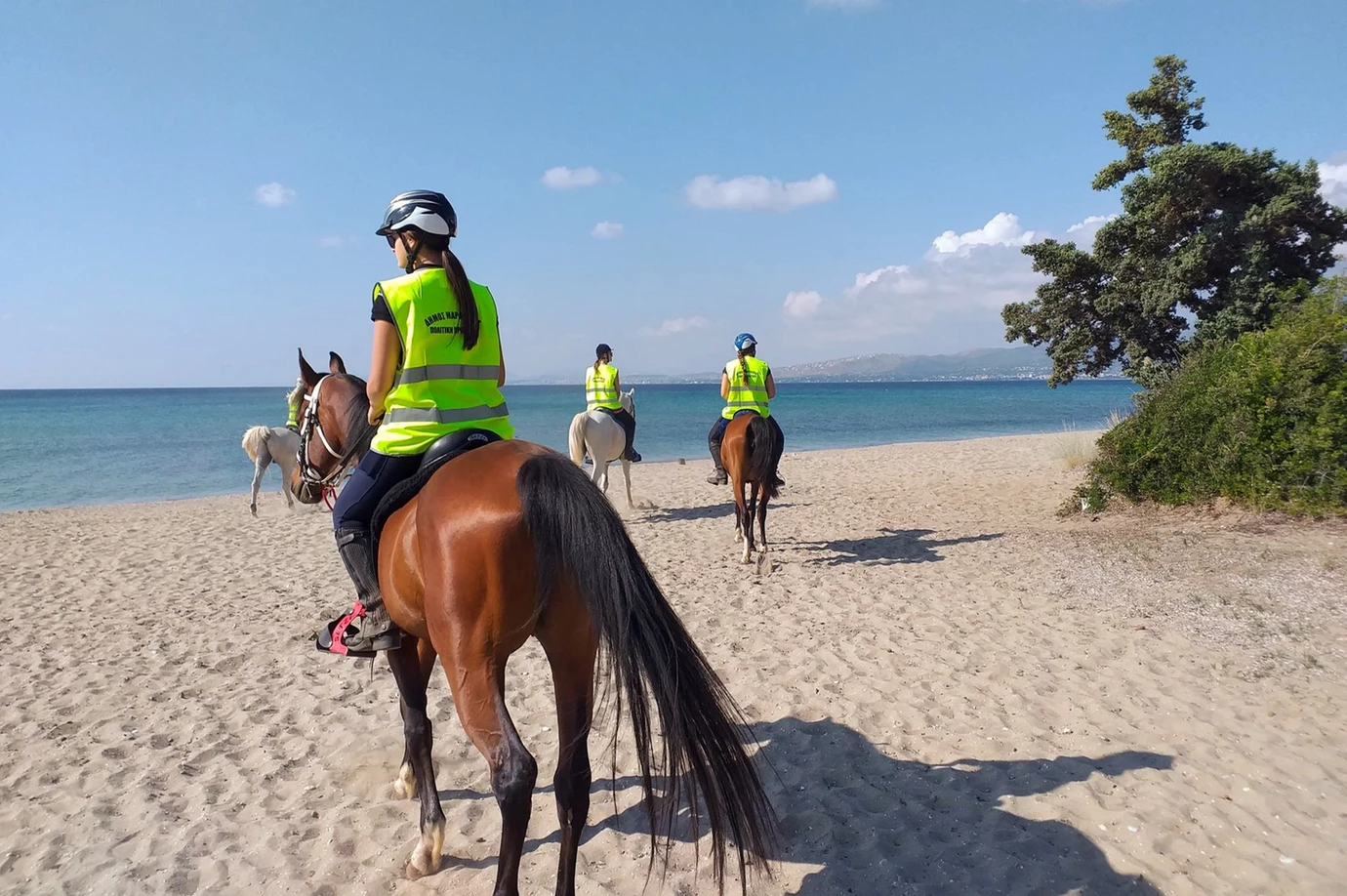 Σχινιάς, Μαραθώνα: Έφιππη πυρασφάλεια