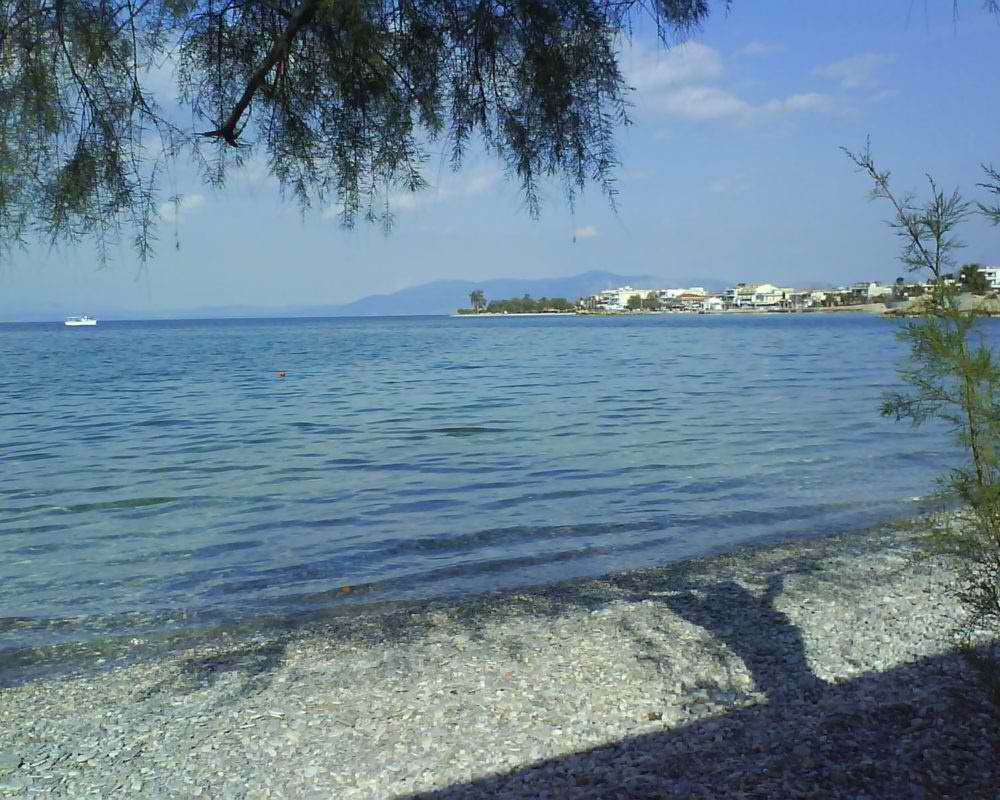 Κάλαμος: Εντοπίστηκε πτώμα άνδρα – Στους 8 οι νεκροί από τις πλημμύρες στην Εύβοια